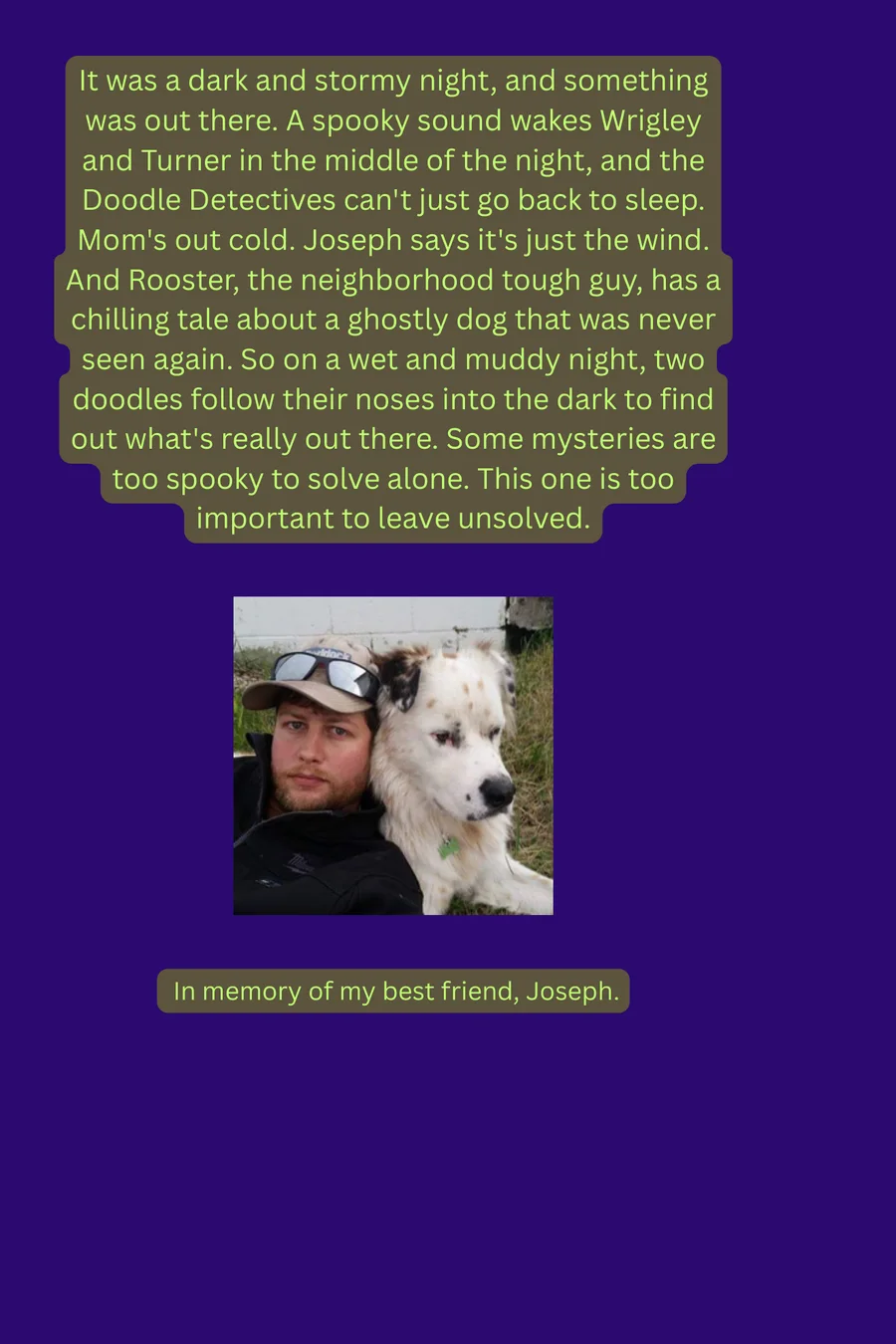 Back cover of The Case of the Ghostly Dog